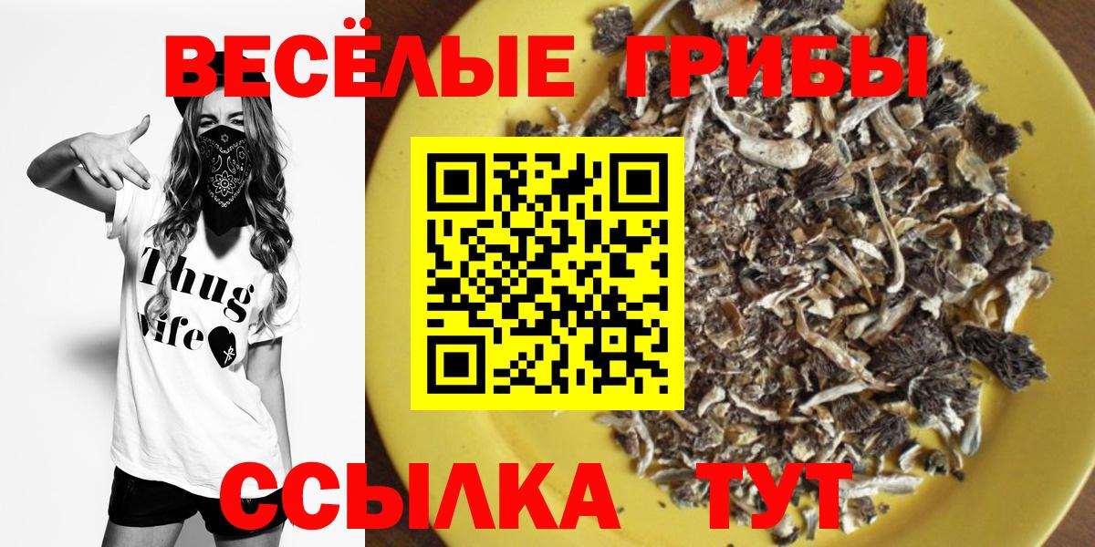 Мончегорск  Галлюциногенные грибы мицелий  Вход с VPN  Галлюциногенные грибы Psilocybe 